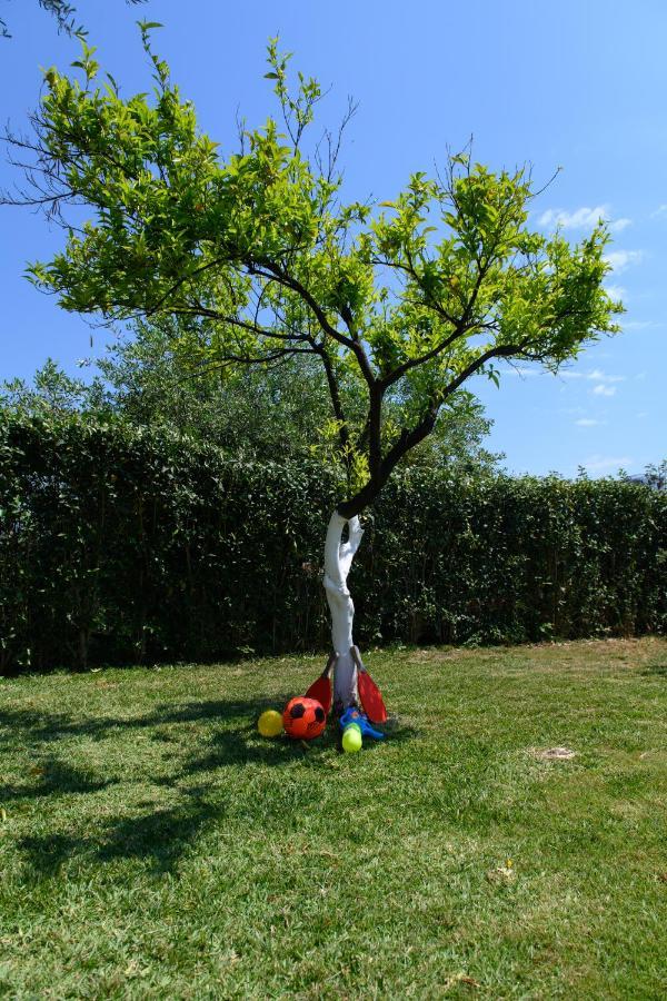 Holiday home Rosa